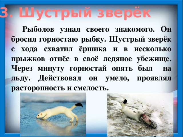 Изложение в бочарникова мал да удал. Изложение горностай. Изложение рыбалка горностая.