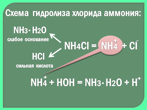 Гидролиз соли хлорида аммония
