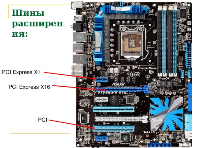 Шины расширения: PCI Express X1 PCI Express X16 PCI 