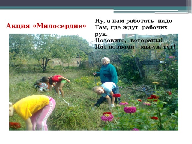 Ну, а нам работать надо Там, где ждут рабочих рук. Позовите, ветераны! Нас позвали – мы уж тут! Акция «Милосердие»  