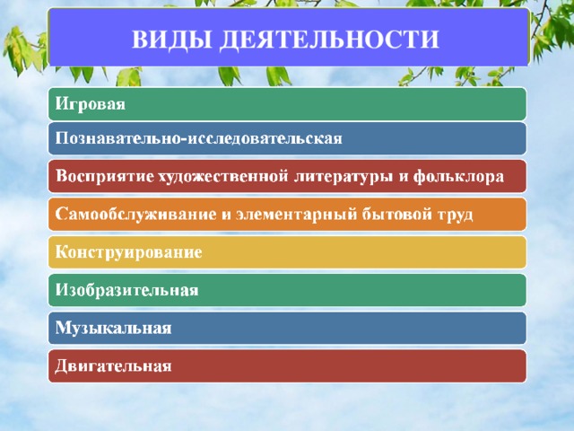 ВИДЫ ДЕЯТЕЛЬНОСТИ   