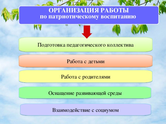 ОРГАНИЗАЦИЯ РАБОТЫ по патриотическому воспитанию  Подготовка педагогического коллектива Работа с детьми Работа с родителями Оснащение развивающей среды Взаимодействие с социумом 