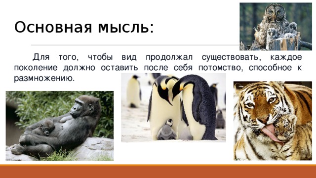 Основная мысль: Для того, чтобы вид продолжал существовать, каждое поколение должно оставить после себя потомство, способное к размножению. 