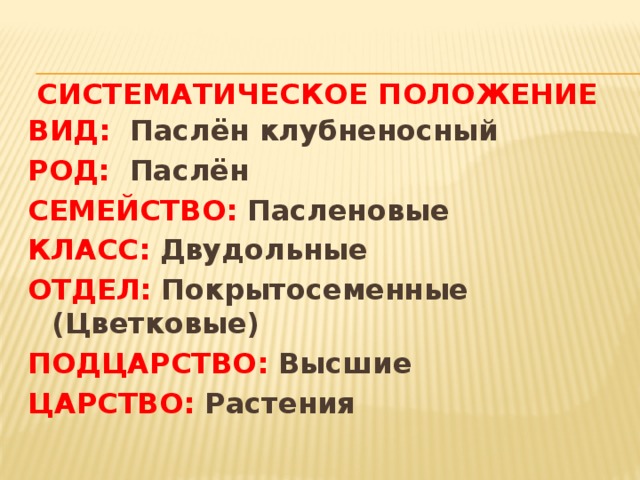 Красное положение. Систематическое положение семейства Пасленовые. Систематическое положение вида растения. Систематика пасленовых. Систематическое положение пасленовых растений.