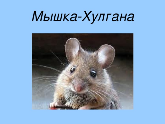 Мышка-Хулгана 