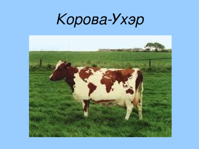 Корова-Ухэр 
