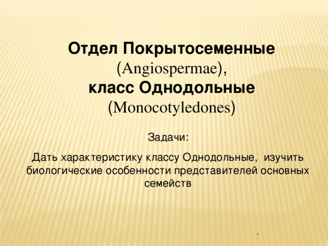 Отдел покрытосеменные 6 класс презентация