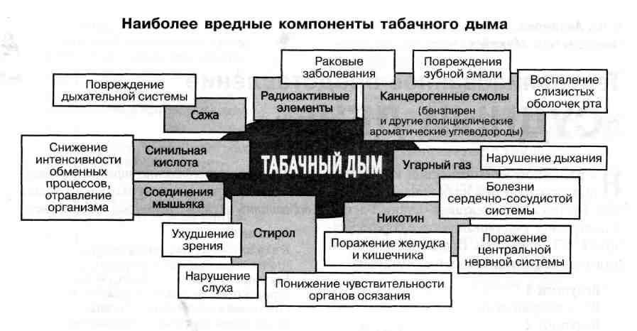 Влияние на компоненты. Компоненты табачного дыма и их влияние на организм. Наиболее вредные компоненты табачного дыма и вызываемые ими болезни. Наиболее ядовитые компоненты табачного дыма. Схема влияния компонентов табачного дыма на организм.