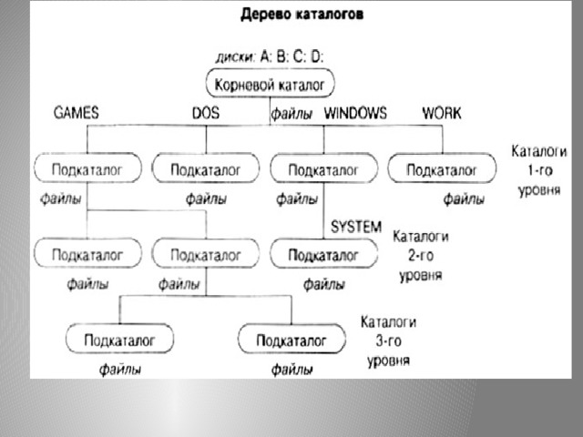 Придумайте имена и типы для файлов содержащих следующую информацию фотография друга