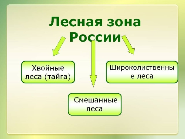 Лесная зона россии 4 класс окружающий мир презентация