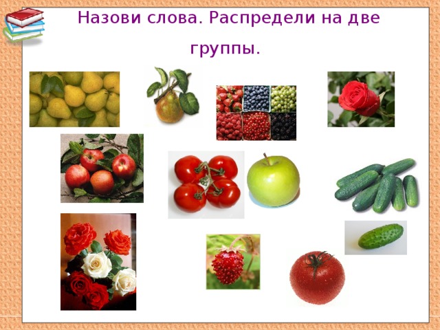 Назови слова. Распредели на две группы. 