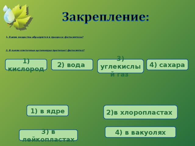 Установите соответствие между процессами фотосинтеза