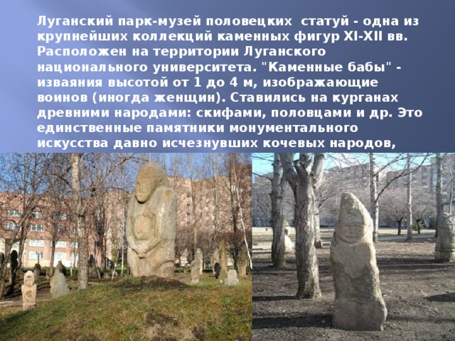 Луганский парк-музей половецких статуй - одна из крупнейших коллекций каменных фигур ХI-ХII вв. Расположен на территории Луганского национального университета. 