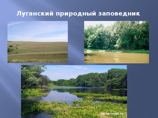 Луганский природный заповедник 