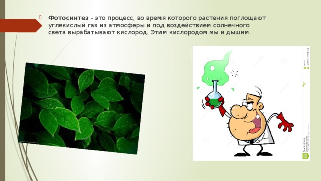 Растение дышит поглощая кислород. Растения которые поглощают углекислый ГАЗ. Растения вырабатывают кислород.