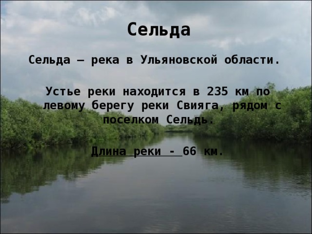 Презентация река свияга