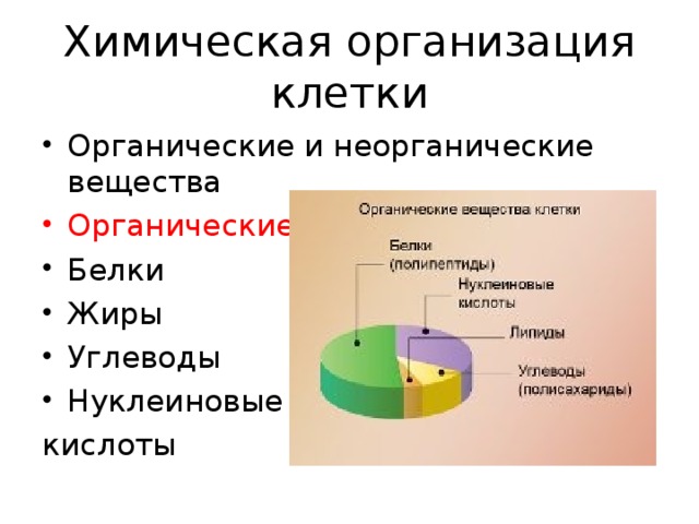 Химический состав клетки органические вещества. 2. Химическая организация клетки. Таблица хим состав клетки органические и неорганические вещества. Хим организация клетки белки жиры углеводы. Химическая организация клетки функции веществ.