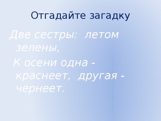 Отгадайте загадку Две сестры: летом зелены,  К осени одна - краснеет, другая - чернеет. 