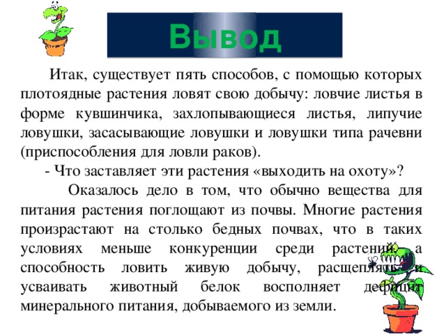 Вывод растений. Хищные растения вывод. Вывод о растениях хищниках. Проект растения-хищник вывод. Растения хищники заключение.