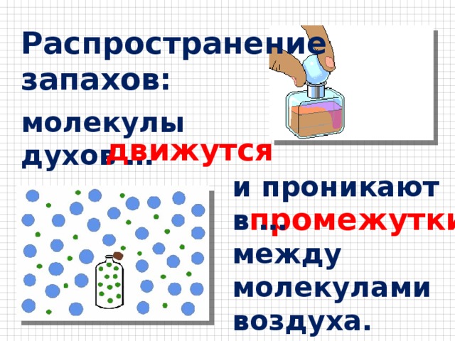 Распространение запахов: молекулы духов … движутся и проникают в … между молекулами воздуха. промежутки 