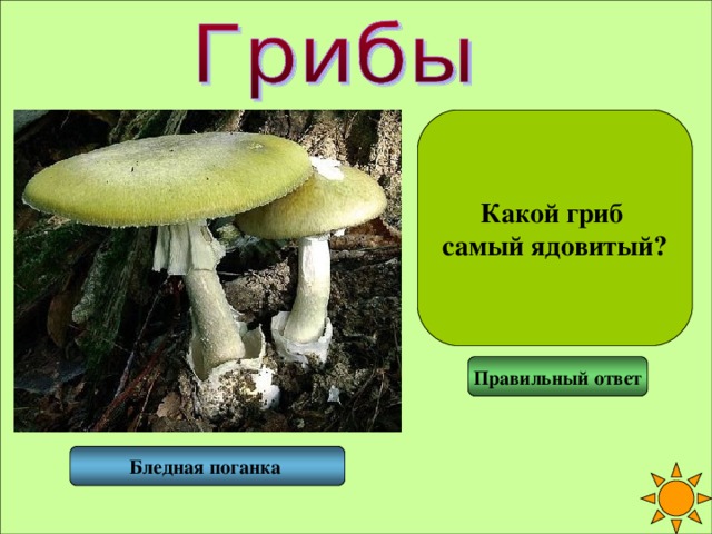 Какой гриб самый ядовитый? Правильный ответ Бледная поганка 
