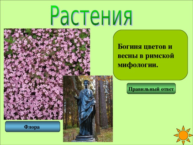 Богиня цветов и весны в римской мифологии. Правильный ответ Флора 