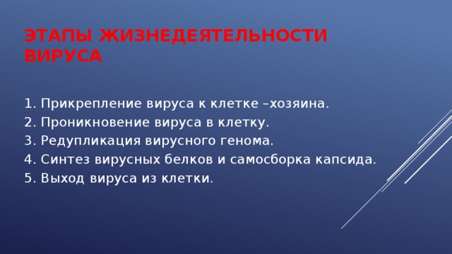 Этапы жизнедеятельности вируса   1. Прикрепление вируса к клетке –хозяина. 2. Проникновение вируса в клетку. 3. Редупликация вирусного генома. 4. Синтез вирусных белков и самосборка капсида. 5. Выход вируса из клетки. 