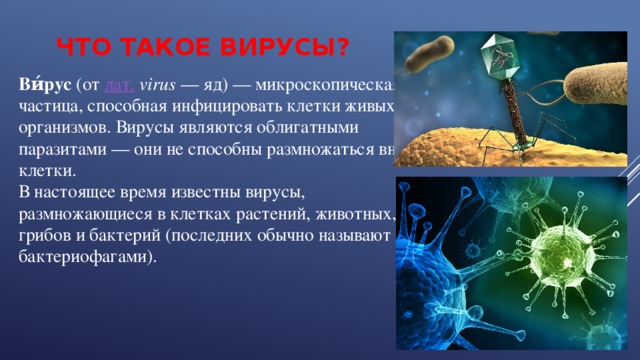 Что такое вирусы?  Ви́рус (от  лат.  virus — яд) — микроскопическая  частица, способная инфицировать клетки живых  организмов. Вирусы являются облигатными  паразитами — они не способны размножаться вне  клетки.  В настоящее время известны вирусы,  размножающиеся в клетках растений, животных,  грибов и бактерий (последних обычно называют  бактериофагами). 