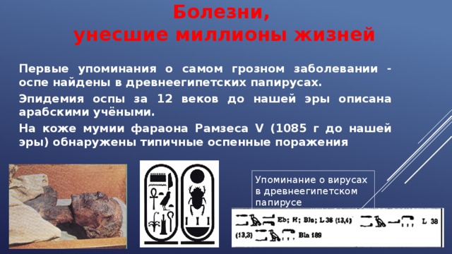 Болезни, унесшие миллионы жизней Первые упоминания о самом грозном заболевании - оспе найдены в древнеегипетских папирусах. Эпидемия оспы за 12 веков до нашей эры описана арабскими учёными. На коже мумии фараона Рамзеса V (1085 г до нашей эры) обнаружены типичные оспенные поражения Упоминание о вирусах в древнеегипетском папирусе 