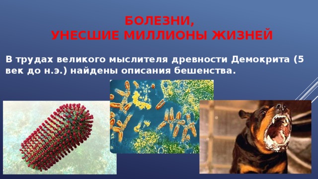 Болезни,  унесшие миллионы жизней В трудах великого мыслителя древности Демокрита (5 век до н.э.) найдены описания бешенства. 