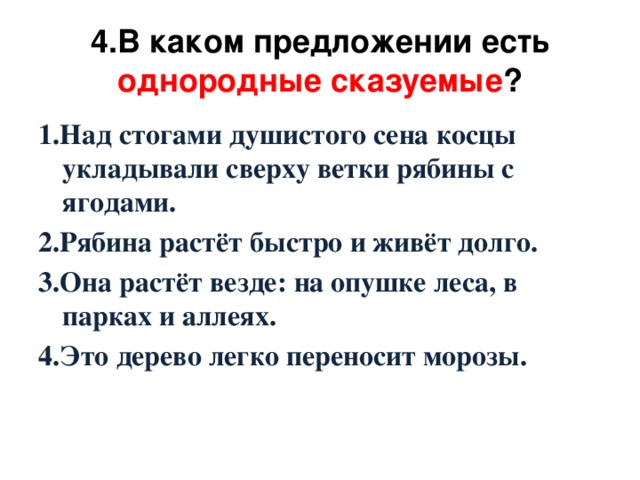 4.В каком предложении есть однородные сказуемые ? 1.Над стогами душистого сена косцы укладывали сверху ветки рябины с ягодами. 2.Рябина растёт быстро и живёт долго. 3.Она растёт везде: на опушке леса, в парках и аллеях. 4.Это дерево легко переносит морозы.