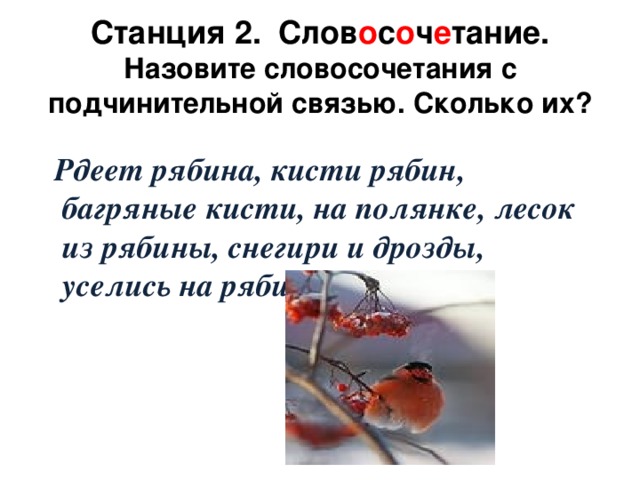 Станция 2. Слов о с о ч е тание.  Назовите словосочетания с подчинительной связью. Сколько их?  Рдеет рябина, кисти рябин, багряные кисти, на полянке, лесок из рябины, снегири и дрозды, уселись на рябине .