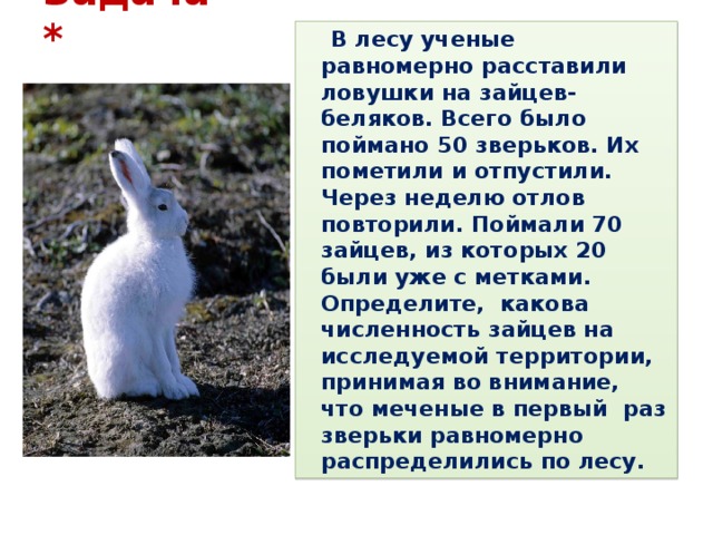 абиотические факторы зайца