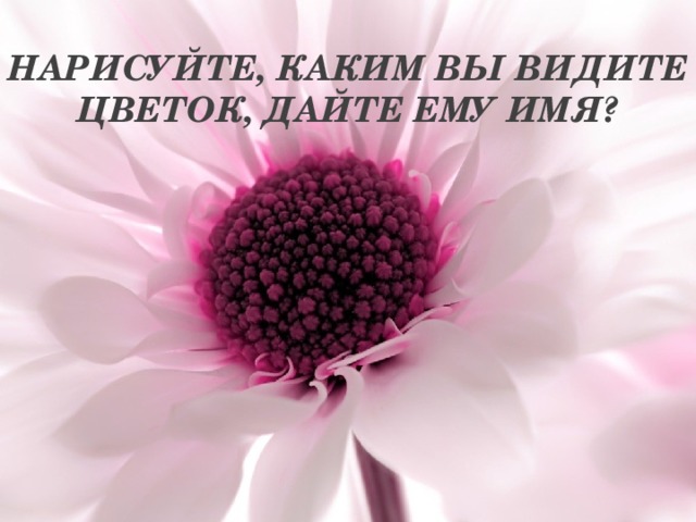 Нарисуйте, каким вы видите цветок, Дайте ему имя?