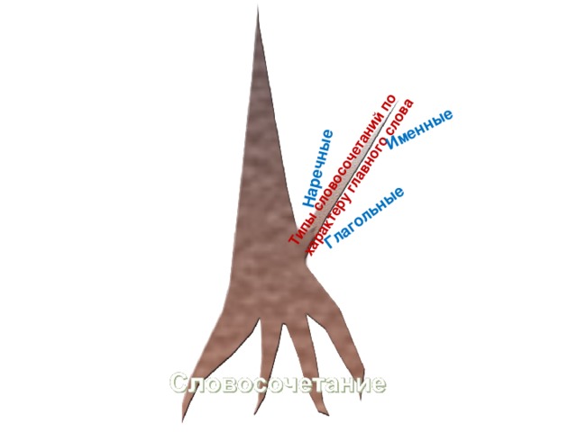 Типы словосочетаний по характеру главного слова Глагольные Именные Наречные