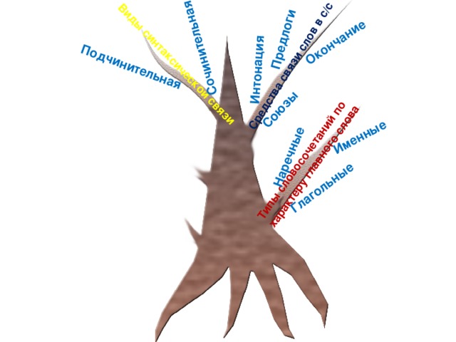 Виды синтаксической связи Подчинительная Сочинительная Типы словосочетаний по характеру главного слова Глагольные Именные Наречные Средства связи слов в с/с Союзы Окончание Интонация Предлоги