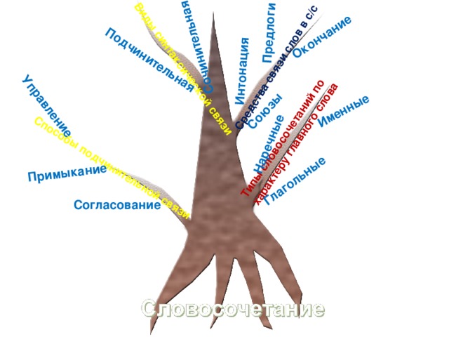 Типы словосочетаний по характеру главного слова Глагольные Именные Наречные Виды синтаксической связи Сочинительная Подчинительная Средства связи слов в с/с Союзы Интонация Окончание Предлоги Способы подчинительной связи Управление Примыкание Согласование