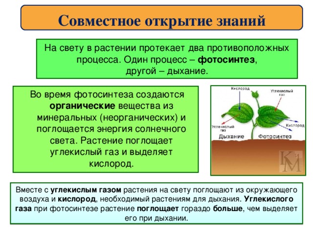 Для протекания процесса световая энергия