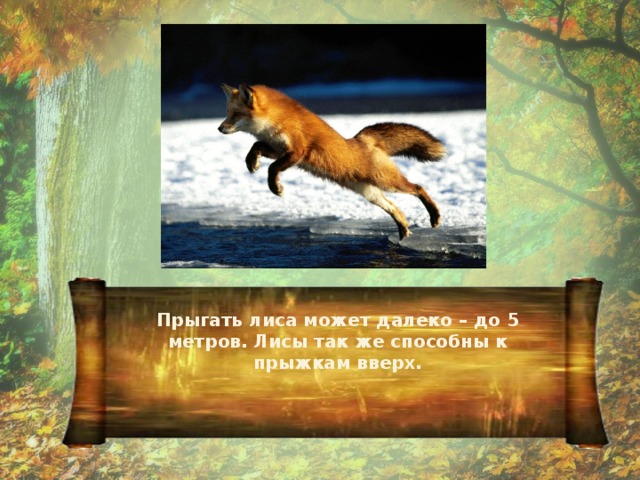 Волк и лиса презентация