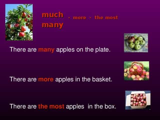 There are some apples on the table. There is there are many much. Much more many most правило. Apples much или many. There is there are much many правило.