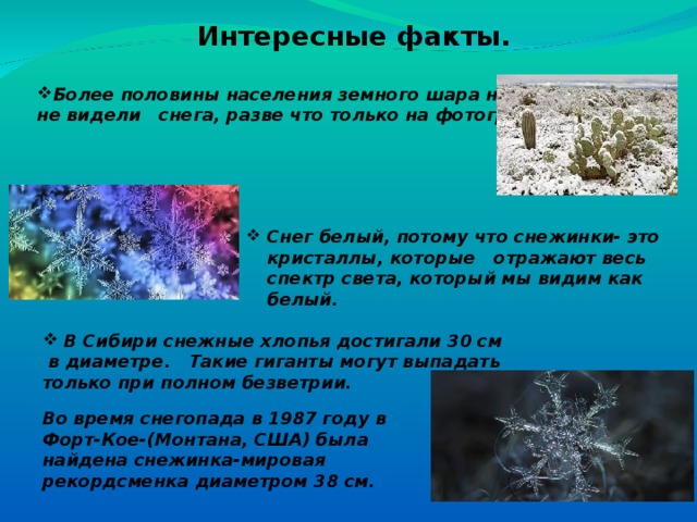 Интересные короткие презентации