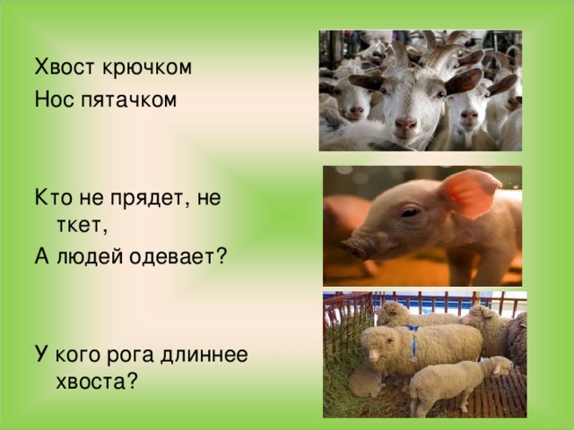 3 класс школа россии окружающий мир презентация животноводство