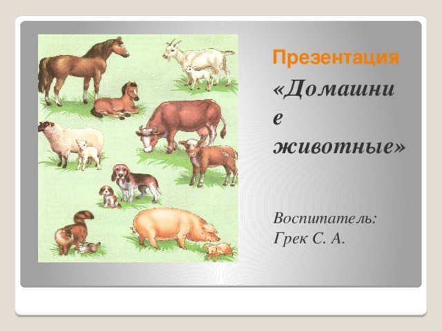 Презентация домашние животные для детей 2 3 лет
