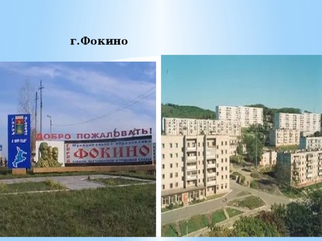 г.Фокино 