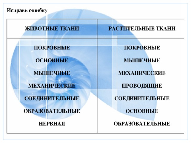 Организм как единое целое 6 класс презентация