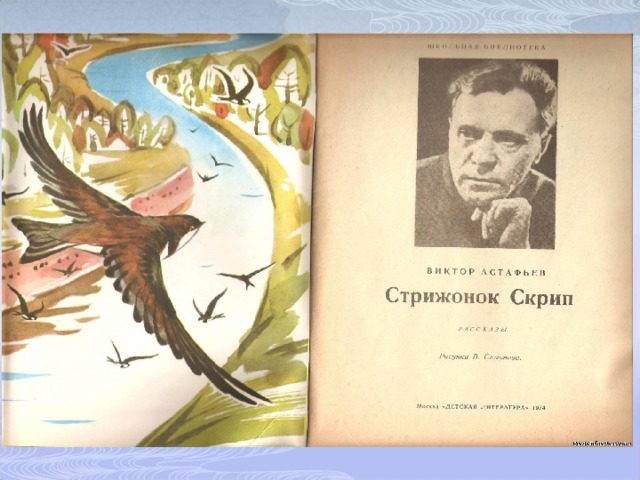 Стрижонок скрип дневник. Стрижонок Стриж. Иллюстрация к произведению Стрижонок скрип. В П Астафьев Стрижонок скрип.