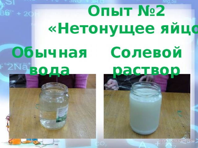 Опыт №2 «Нетонущее яйцо» Обычная вода Солевой раствор