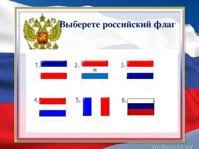 Выбери русский. Выбери флаг России. Найди флаг России. Флаг похожий на флаг России. Флаги похожие на российский флаг.