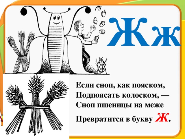 Есть города на букву ж. Буква ж сноп. На что похожа буква ж. Если сноп как пояском подпоясать колоском. На что похожа буква ж рисунок.