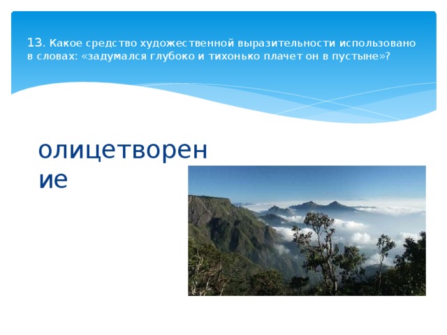  13 . Какое средство художественной выразительности использовано в словах: «задумался глубоко и тихонько плачет он в пустыне»?   олицетворение 